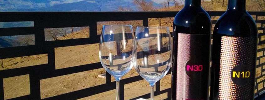 Presentación de las botellas estándar con Sierra Nevada al fondo :: © Bodegas Nestares Rincón