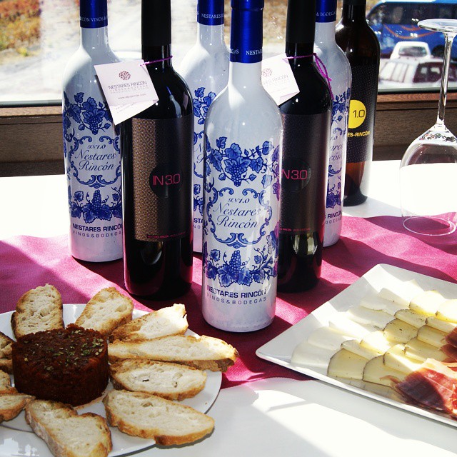 Cata de Vinos de la Bodega Nestares Rincon