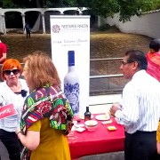 Presentation of our wines in Brussels, Cervantes Institute, E Day :: © Bodegas Nestares Rincon