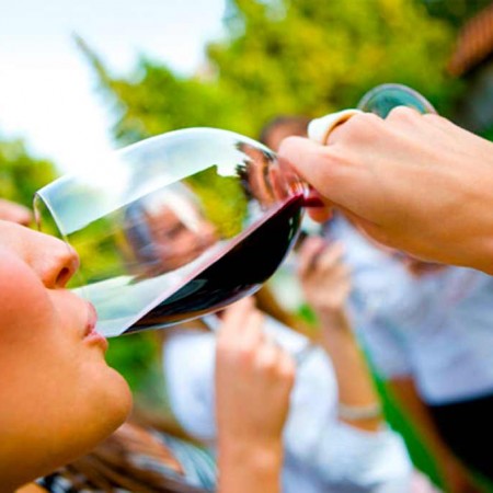 Tasting Experience :: © Bodegas Nestares Rincon