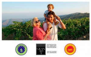 La familia Nestares Rincón y los viñedos de Torvizcón :: &copy; Bodegas Nestares Rincón - Alpujárride