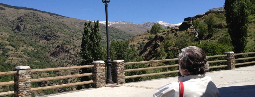 Views of Sierra Nevada from Capileira, La Alpujarra :: Bodegas Nestares Rincon, Alpujarride