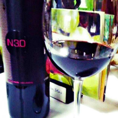 Bottle IN 3.0 :: © Bodegas Nestares Rincon